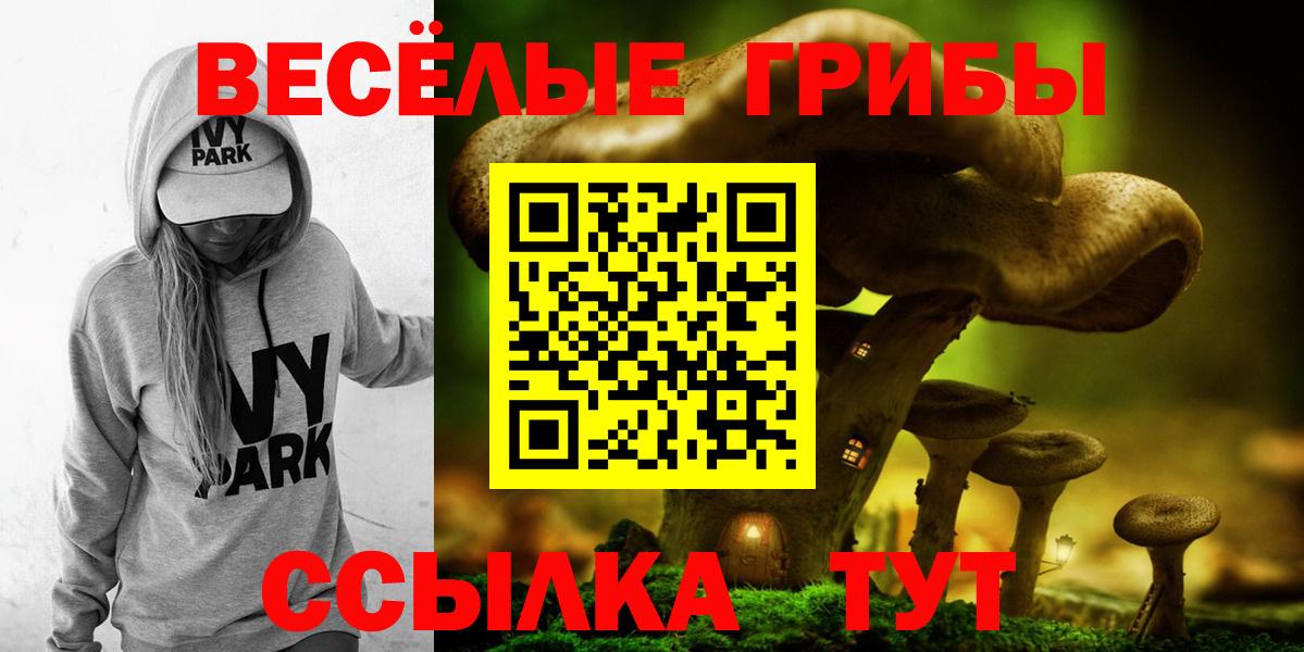 купить наркотик  Вход с VPN  Новомосковск  Псилоцибиновые грибы мухоморы 